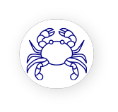 Crabe