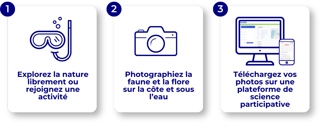Visuel - Etape contribuer
